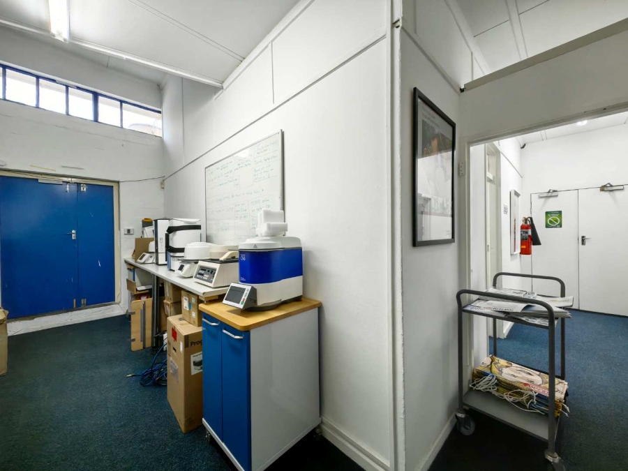 To Let commercial Property for Rent in Observatory Western Cape
